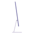 Apple iMac 24" (M4 10C CPU, 10C GPU, 2024) Retina 4,5K, 16Gb, 512Gb SSD (MWV73) Purple, фиолетовый