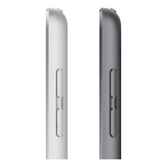 Apple iPad 10,2" (A13, 2021, 9 gen) Wi-Fi 256Gb Space Gray, «серый космос»