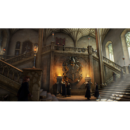 Игра Hogwarts Legacy для PlayStation 5, русские субтитры купить в Донецке ДНР