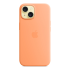 Чехол Silicone Case для Apple iPhone 15 с MagSafe  Orange Sorbet, оранжевый купить в Донецке ДНР