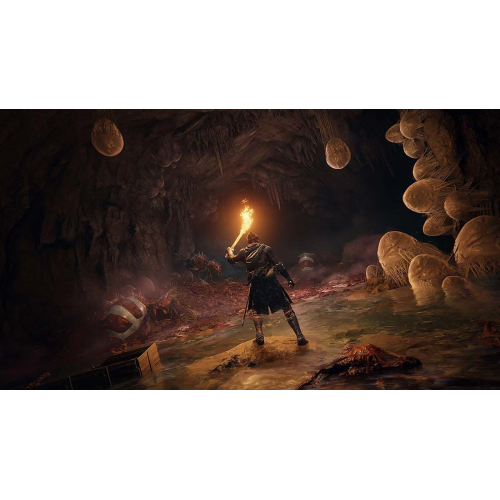 Игра Elden Ring для Sony PlayStation 5, русская озвучка
