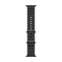Apple Watch Ultra 3 (2025), 49 мм корпус из титана цвета «Natural», ремешок Ocean Band цвета «Black»