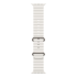 Apple Watch Ultra 2 (2023), 49 мм корпус из титана цвета «Natural», ремешок Ocean Band цвета «White»