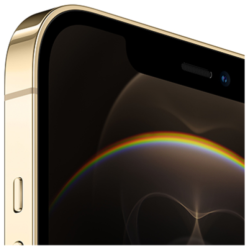 Apple iPhone 12 Pro Max 512Gb Gold, золотой купить в Донецке ДНР