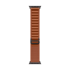 Apple Watch Ultra 3 (2025), 49 мм корпус из титана цвета «Black», ремешок Alpine Loop размера S цвета «Terra Cotta»
