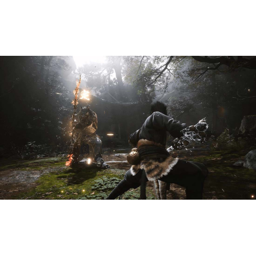 Игра Black Myth WuKong для PlayStation 5, русские субтитры купить в Донецке ДНР