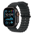 Apple Watch Ultra 2 (2024), 49 мм корпус из титана цвета «Black», ремешок Ocean Band цвета «Black»