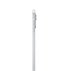 Apple iPad Pro 13" (M4, 2024, 7 gen) Wi-Fi + Cellular 1Tb, нанотекстурное стекло, Silver, серебристый
