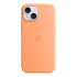 Чехол Silicone Case для Apple iPhone 15 с MagSafe  Orange Sorbet, оранжевый купить в Донецке ДНР