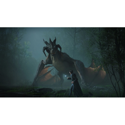 Игра Hogwarts Legacy для PlayStation 5, русские субтитры