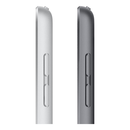 Apple iPad 10,2 (A13, 2021, 9 gen) Wi-Fi 256Gb Silver, серебристый купить в Донецке ДНР
