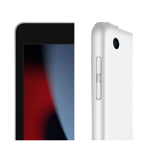 Apple iPad 10,2 (A13, 2021, 9 gen) Wi-Fi 64Gb Silver, серебристый купить в Донецке ДНР