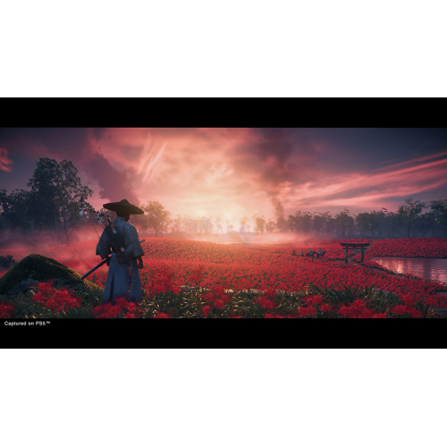Игра Ghost of Tsushima directors cut для PlayStation 5, русская озвучка
