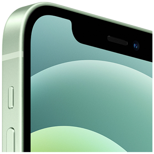 Apple iPhone 12 256Gb Green, зеленый купить в Донецке ДНР
