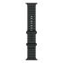Apple Watch Ultra 2 (2024), 49 мм корпус из титана цвета «Black», ремешок Ocean Band цвета «Black»