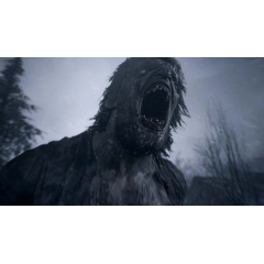 Игра Resident Evil: Village Gold Edition для PlayStation 5, русская озвучка